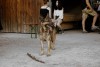 TRB_Splitthalle_190628_L1106