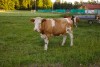 TRB_Splitthalle_190628_L1149